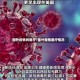 国外疫情的医疗/国外疫情医疗情况
