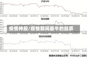 疫情神股/疫情期间最牛的股票