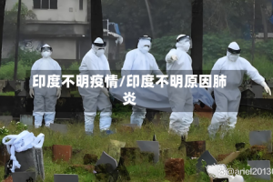 印度不明疫情/印度不明原因肺炎