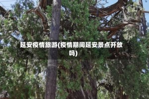 延安疫情旅游(疫情期间延安景点开放吗)