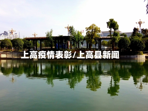 上高疫情表彰/上高县新闻-第3张图片