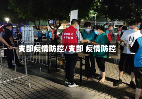 支部疫情防控/支部 疫情防控-第1张图片