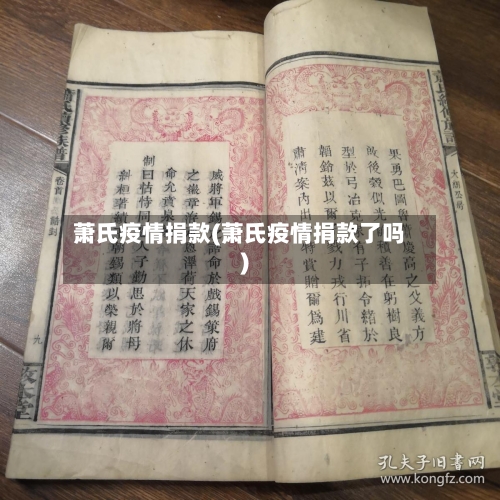 萧氏疫情捐款(萧氏疫情捐款了吗)-第1张图片