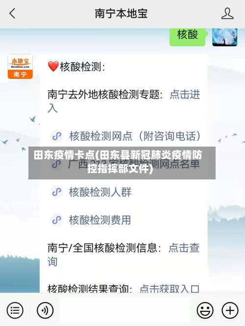 田东疫情卡点(田东县新冠肺炎疫情防控指挥部文件)-第2张图片