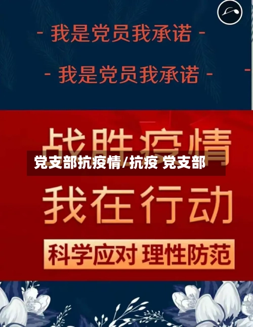 党支部抗疫情/抗疫 党支部-第1张图片