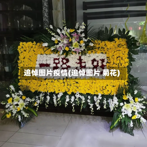追悼图片疫情(追悼图片 菊花)-第1张图片