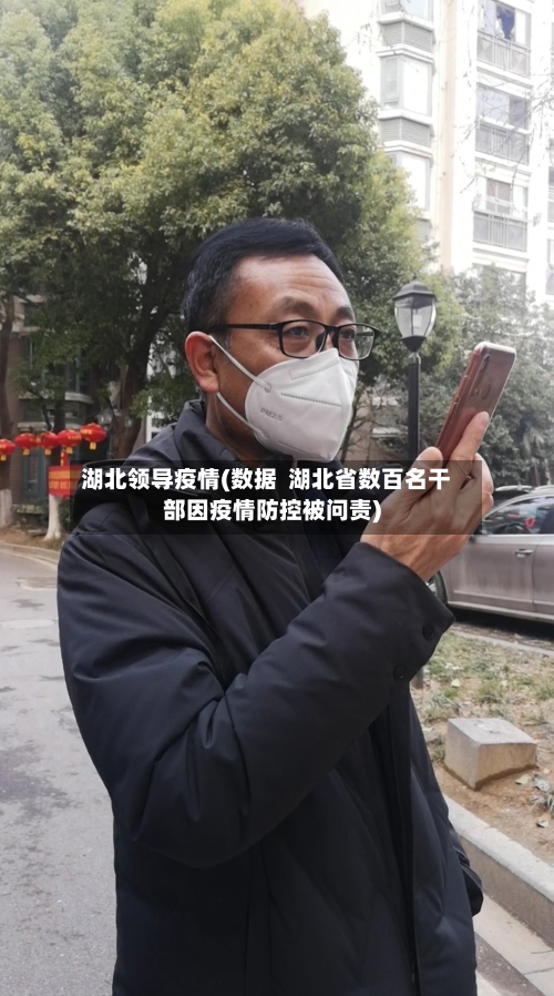 湖北领导疫情(数据  湖北省数百名干部因疫情防控被问责)-第1张图片