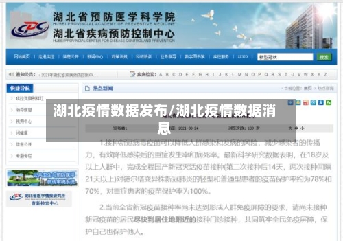 湖北疫情数据发布/湖北疫情数据消息-第2张图片