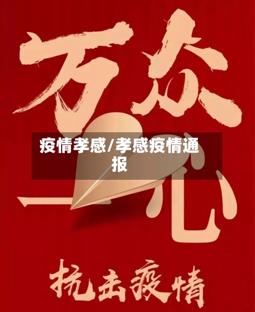 疫情孝感/孝感疫情通报-第3张图片