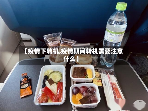 【疫情下转机,疫情期间转机需要注意什么】-第1张图片