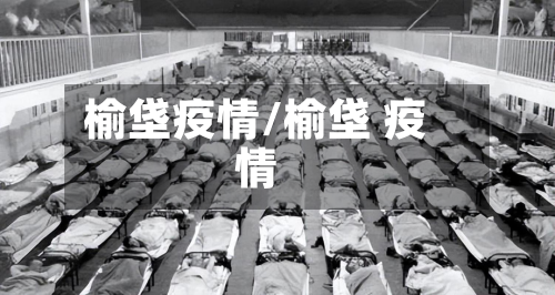 榆垡疫情/榆垡 疫情-第1张图片