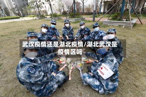 武汉疫情还是湖北疫情/湖北武汉是疫情区吗-第1张图片