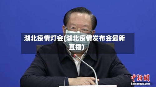 湖北疫情灯会(湖北疫情发布会最新直播)-第2张图片
