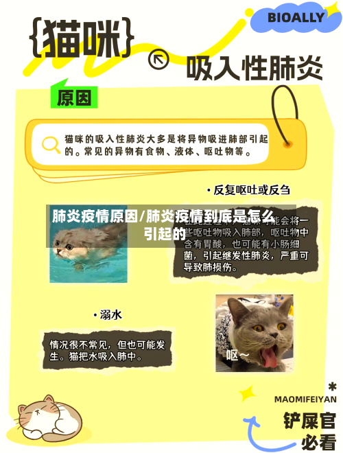 肺炎疫情原因/肺炎疫情到底是怎么引起的-第2张图片